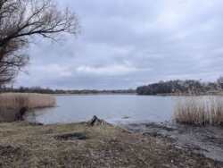 Будинок для великої родини фото 11 Будинок для великої родини фото 11