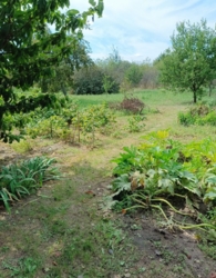 ��������� ��� ���� 3