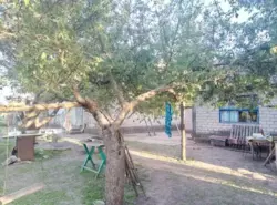 ������ ��� � ���� ���� 4