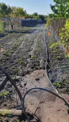 ������ ������� ������� ���� 2