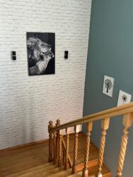 ������ ������� � ��������� ���� 15