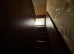 ��� � ��������� ���� 11