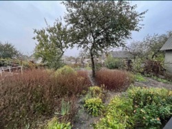 ������ ��� ���� 12