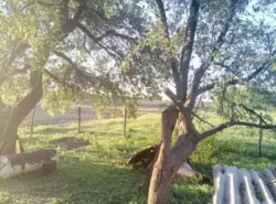 ������ ��� � ���� ���� 6