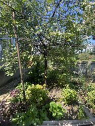 Продам будинок в районі Соцміста. фото 16 Продам будинок в районі Соцміста. фото 16