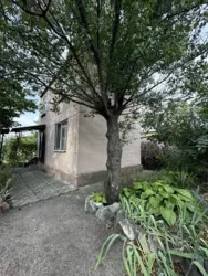 ������ ���� �.� ������ ���� 9