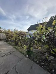 ������ ��� ���� 4