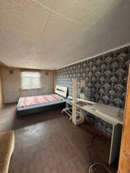 ������ ���� �� ����� ���� 13