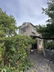 ������ ���� �.� ������ ���� 3