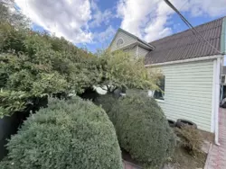 ������ ��������, ������ ���. ��������� ���� 12