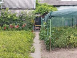 ������ 1/2 ���� ����� 28 �����. ���� 14