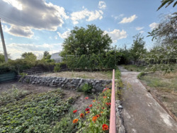 ������ ���� � �� ������� (���������). ���� 17