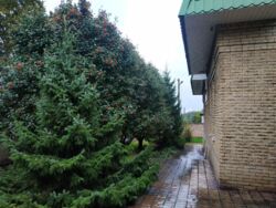 ������ 2 ���� ��� �-� ������ ���� 16