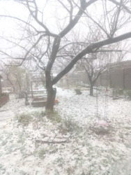 ������ ���� ��� ���� �������,��.������. ���� 11