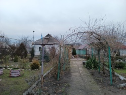 ��������� ��� � ������������ (����� ������� �����) ���� 22