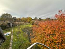 ������ ���� �� ����� ���� 12