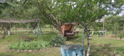 Дом дача в Шульговке фото 12 Дом дача в Шульговке фото 12