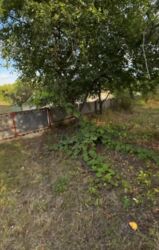 ������ ������� � ��������, 55 ������ ���� 14