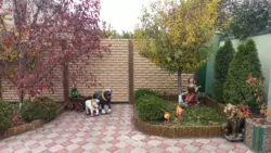 ������ ��� ����� ���� �� ������� ���� 4