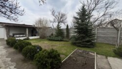 ������� ���� ��� ���������� �������� ���� 7