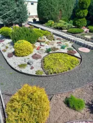 ����������� ��� 2010 ���� ��������� ���� 7