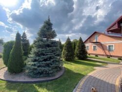 ������ ������� ���'������ ���� 6