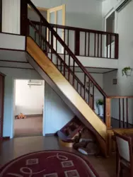 ����������� ��� 2010 ���� ��������� ���� 14