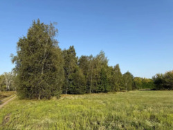 Продается дом Шульговка, Каменское, Каменское, Днепропетровская фото 20 Продается дом Шульговка, Каменское, Каменское, Днепропетровская фото 20