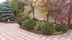 ������ ��� ����� ���� �� ������� ���� 5