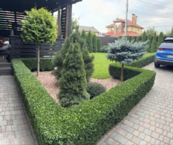 ������ �������� ������������� 175000 ���� 20