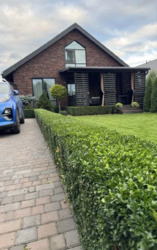 ������ �������� ������������� 175000 ���� 18