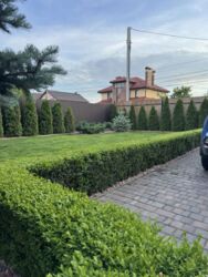 ������ �������� ������������� 175000 ���� 19