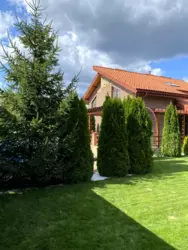   208 . +    11   , ,   .  15