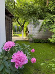 ������ �������� ���������� ��������� 165000 ���� 23