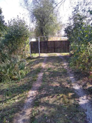 ������ ������� � ������ 50000 ���� 4