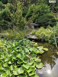  2      15 , 257 . , 5   12