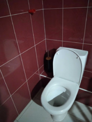      ( )  ,  8