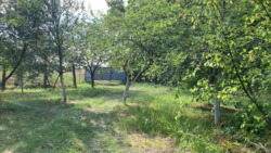     8    . .,  3