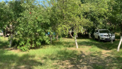     8    . .,  2