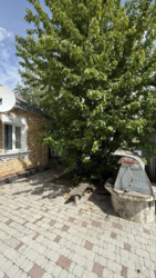 ������� 60�2 �. ��������, �. ��� 60 ��. ���� 13