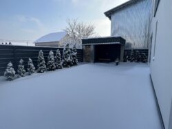 ��� % ������ �������� 142�2 ��� ! ĳ����� 3 �����. ���������� ��������� ���� 9