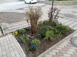 Святопетрівське, Таун боковий, 3 поверхи, 145 кв. жила площа, (по 600 у.е. м.кв) фото 8 Святопетрівське, Таун боковий, 3 поверхи, 145 кв. жила площа, (по 600 у.е. м.кв) фото 8