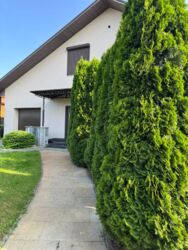   280 +  . 40. , , .  23