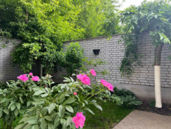 ������ �������� ���������� ��������� 165000 ���� 19