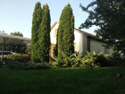 Продам СВОИХ ДВА Дома с всем что внутри в Святопетровском ! фото 1 Продам СВОИХ ДВА Дома с всем что внутри в Святопетровском ! фото 1