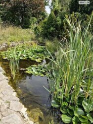  2      15 , 257 . , 5   11