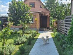 ���������, ���. ���������, 63, ������� ��� ������� �� �������� (������ �� ����) 82��.� �� 5.5 ������ ����. ���� 4