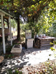 ������ ������� � ������ 50000 ���� 6