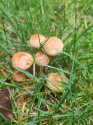 ������ �������� �. ����� 130000 ���� 11