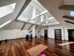 Бобриця. Абсолютно автономний розкішний будинок 495 м2. фото 18 Бобриця. Абсолютно автономний розкішний будинок 495 м2. фото 18